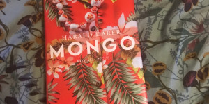 Beitragsbild des Blogbeitrags Wohltuend wehtuend: Harald Darers Mongo