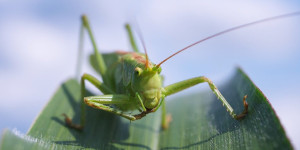 Beitragsbild des Blogbeitrags Grund und Abgrund