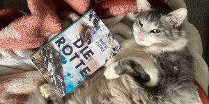 Beitragsbild des Blogbeitrags Spiel der Heugabeln: Marcus Fischers Die Rotte