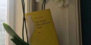Beitragsbild des Blogbeitrags „Die Feder ist die Schwester des Pinsels“ Maria Lassnig: Am Fenster klebt noch eine Feder 