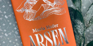 Beitragsbild des Blogbeitrags Steirische Heilsversprechungen: Maria Hofers Arsen 