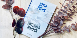 Beitragsbild des Blogbeitrags Aus dem Pflegeheim: David Fuchs‘ Zwischen Mauern