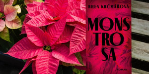 Beitragsbild des Blogbeitrags Im Kampf mit sich selbst: Rhea Krčmářovás Montrosa