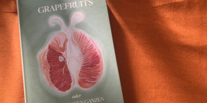 Beitragsbild des Blogbeitrags Groteske Kunst: Isabella Breiers Grapefruits oder Vom Großen und Ganzen 