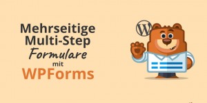 Beitragsbild des Blogbeitrags Wie du ein Multi-Step Formular in WordPress erstellst 
