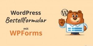Beitragsbild des Blogbeitrags Howto: Wie man ein WordPress Bestellformular mit Online-Zahlung erstellt