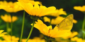 Beitragsbild des Blogbeitrags Was für eine Verschwendung vom Leben!