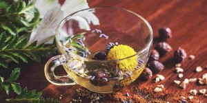 Beitragsbild des Blogbeitrags Tibetische Medizin