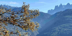 Beitragsbild des Blogbeitrags Auf der Suche nach dem Frieden