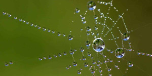 Beitragsbild des Blogbeitrags Langeweile: was ist das eigentlich?