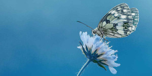 Beitragsbild des Blogbeitrags Die autarke Gemeinschaft – ein Widerspruch in sich?