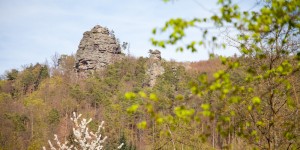 Beitragsbild des Blogbeitrags Wandern rote Wand - Hoher Stein im Dunkelsteinerwald 