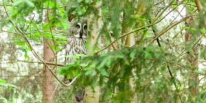 Beitragsbild des Blogbeitrags Ausflug Naturpark Buchenberg bei Waidhofen/ Ybbs 