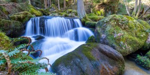 Beitragsbild des Blogbeitrags Wandern Lohnbachfall - Steinerne Liebe - Dachstein im Waldviertel