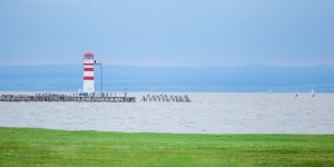 Beitragsbild des Blogbeitrags Kleine Radrunde von Podersdorf nach Weiden am See und retour im Burgenland am Neusiedlersee