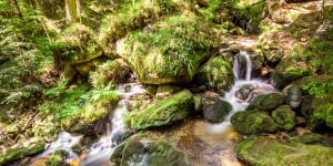 Beitragsbild des Blogbeitrags Wandern Ysperklamm im Waldviertel 