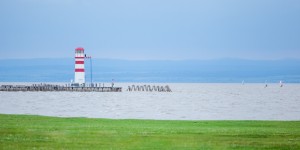 Beitragsbild des Blogbeitrags Kleine Radrunde von Podersdorf nach Weiden am See und retour im Burgenland am Neusiedlersee 