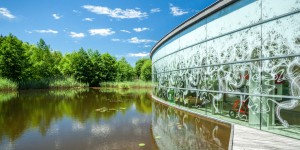 Beitragsbild des Blogbeitrags Das UnterWasserReich im Naturpark Hochmoor Schrems