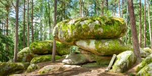 Beitragsbild des Blogbeitrags Wandern Blockheide - 