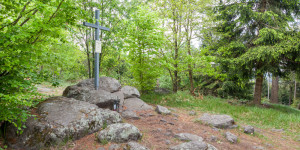 Beitragsbild des Blogbeitrags Wandern Lauterbach - Dunkelstein - Musterkreuz im Dunkelsteinerwald 