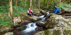 Beitragsbild des Blogbeitrags Wandern Nibelungengau/Donau: Wallfahrtskirche Maria Taferl - Steinbachklamm in Niederösterreich
