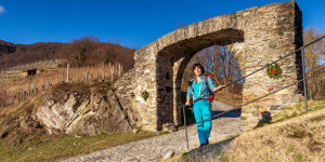 Beitragsbild des Blogbeitrags Wandern Wachau: Spitz - Rotes Tor - Waldgeistweg - Spitzer Graben