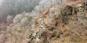 Beitragsbild des Blogbeitrags Foto-Tipp: sanfte Farben, zarte Kontraste - der Reiz der
