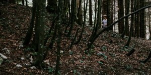 Beitragsbild des Blogbeitrags Naturspaziergang