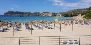 Beitragsbild des Blogbeitrags Paguera Urlaub – Was macht den Ort besonders?
