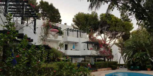 Beitragsbild des Blogbeitrags Los Tilos Paguera