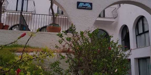 Beitragsbild des Blogbeitrags Morlans Garden Paguera