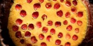 Beitragsbild des Blogbeitrags Kirch-Schoko Kuchen 