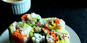 Beitragsbild des Blogbeitrags Thunfisch Sommerrollen