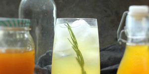 Beitragsbild des Blogbeitrags Kriecherl-Rosmarin Sirup