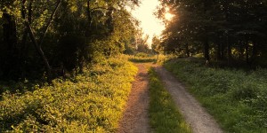 Beitragsbild des Blogbeitrags 3 Wege, um deine Pensionslücke zu schließen