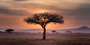 Beitragsbild des Blogbeitrags Gratis Licht und Strom von NowLight