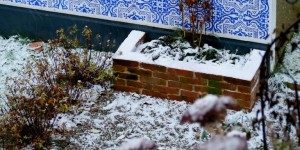 Beitragsbild des Blogbeitrags Spaziergang durch den Dezember-Garten