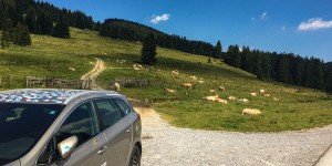 Beitragsbild des Blogbeitrags Teichalm / Sommeralm Almenland Steiermark
