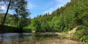 Beitragsbild des Blogbeitrags Die Raabklamm 