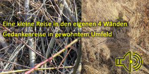 Beitragsbild des Blogbeitrags Eine kleine Reise in den eigenen 4 Wänden Gedankenreise in gewohntem Umfeld