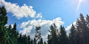 Beitragsbild des Blogbeitrags Wildwiesenhütte und Aussichtswarte in Miesenbach 