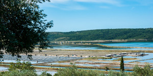 Beitragsbild des Blogbeitrags Portorož, der Hafen der Rose in Slowenien 