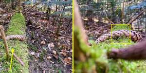 Beitragsbild des Blogbeitrags Quicktipp #1 Move Your Ass! #SmartphoneFotografieBuch