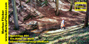Beitragsbild des Blogbeitrags Quicktipp #24 Ein VW Käfer im Wald #SmartphoneFotografieBuch