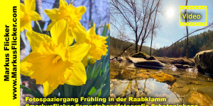 Beitragsbild des Blogbeitrags Fotospaziergang Frühling in der Raabklamm 