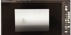 Beitragsbild des Blogbeitrags QuickTipp: Landschaft und Baum in Photoshop erstellen 