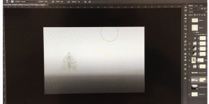 Beitragsbild des Blogbeitrags QuickTipp: Landschaft und Baum in Photoshop erstellen