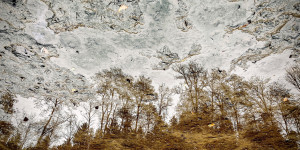 Beitragsbild des Blogbeitrags Bäume im Fluss mit Spiegelung / Foto auf dem Smartphone bearbeitet / iOS iPhone