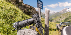 Beitragsbild des Blogbeitrags Flora Fauna Landscape Street Travel Photography Portfolio