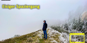Beitragsbild des Blogbeitrags Eisiger Fotospaziergang im Wald